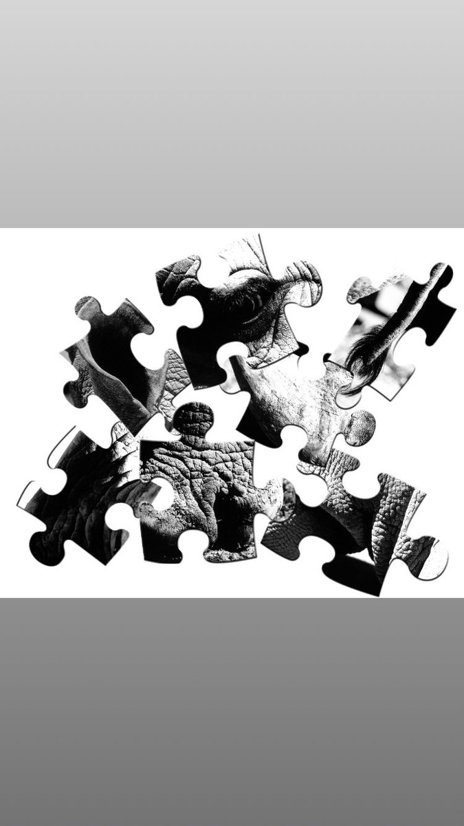 We are putting the pieces together to bring something new to the Zoo!
 
On this Giving Tuesday, you have a unique opportunity to help bring a new, important species to Niabi Zoo.
 
Put the pieces together and find out what is coming at niabizoo.com