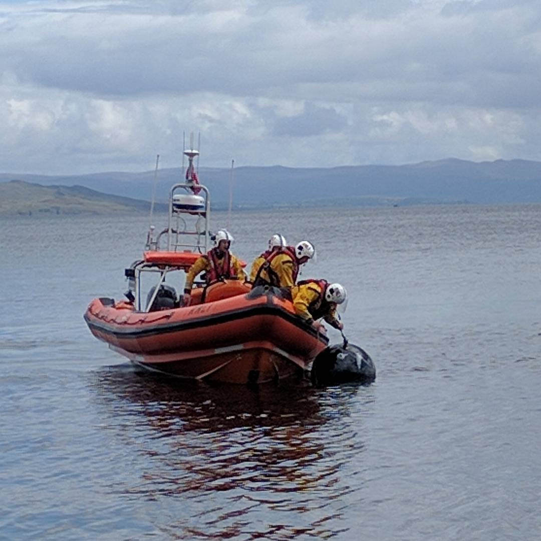 ADAFarmio's tweet image. It's the season for giving. FARM has made its first donation to @RNLI . RNLI is a vital organisation helping to save lives at sea right around the UK. @ArranRNLI is made up of volunteers ready to respond 24hrs a day, all year. Internationally, the RNLI provides guidance and