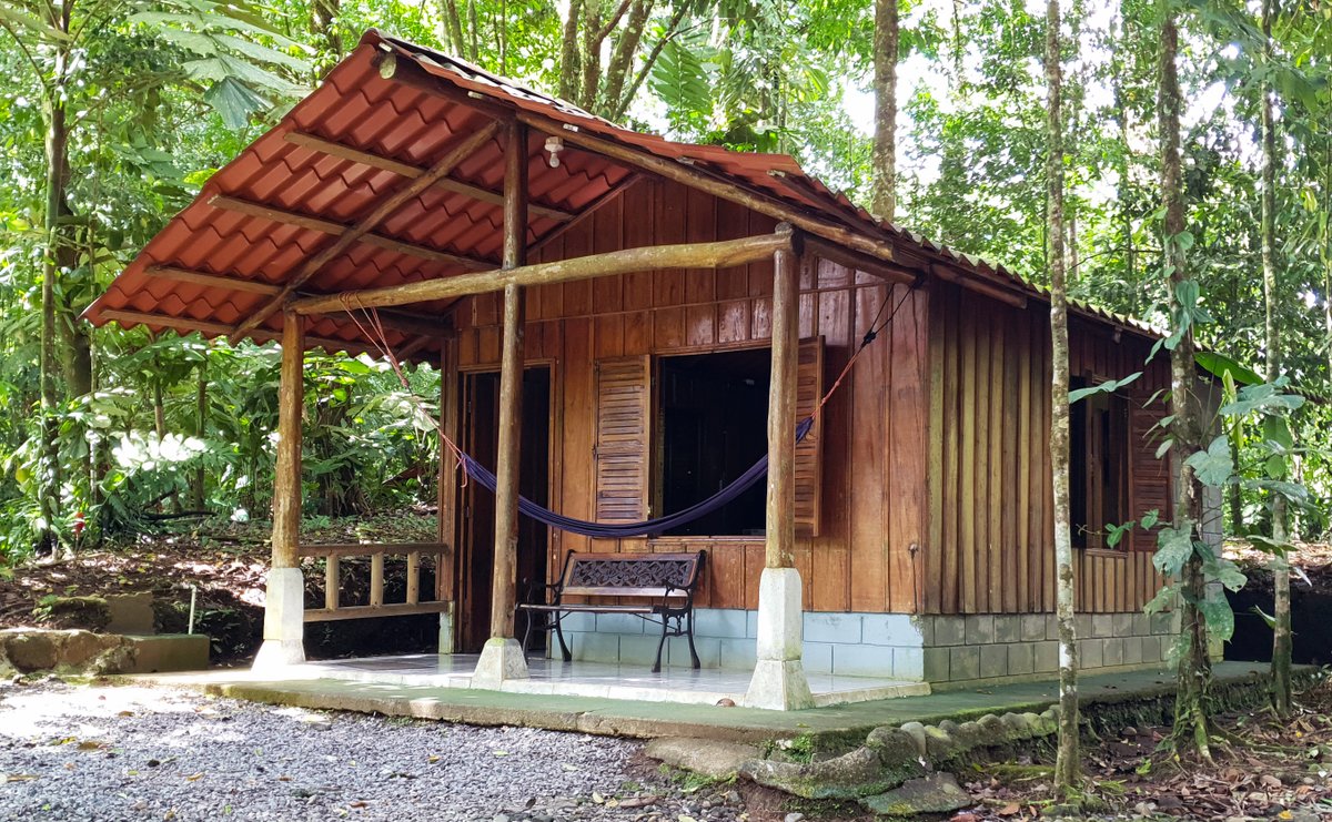 Cabin Rental in Costa Rica 
1 single bunk bed and 1 double bed, Private bathroom with Hot water, Stove, coffee maker, microwave and mini fridge. #cabin #cabins #costarica #vacation #travel paradise-adventures-costa-rica.com/junglecabins/