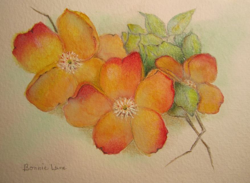 BonnieLouLane's tweet photo. Wild Rose Note Cards .... makes a lovely STOCKING STUFFER or HOSTESS GIFT! Inexpensive, yet BEAUTIFUL!
https://t.co/2yKnNAzDh5…
#notecards #HostessGifts #stockingstuffer #budget #budgetGift #Christmas2020 #TMTinsta https://t.co/cPaR0EI9Ak