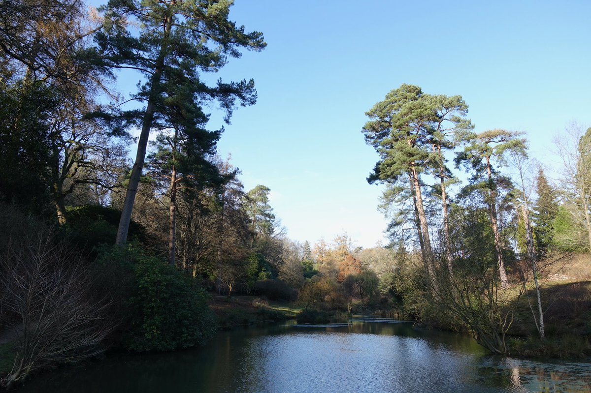 adam_piggott_'s tweet photo. Glorious day today @LeonardsleeG #Horsham https://t.co/d41sEghmbX