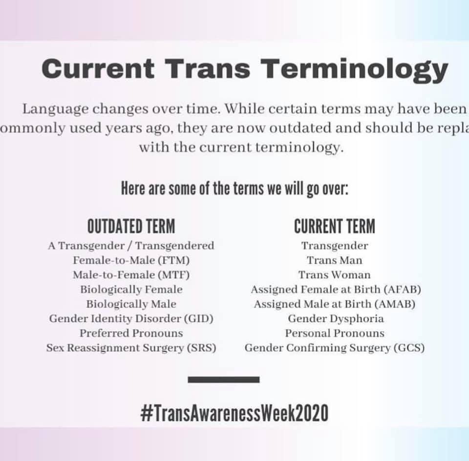 LTopek's tweet image. Words are important 🏳️‍⚧️ 💗🤍💙#TransAwarenessWeek2020