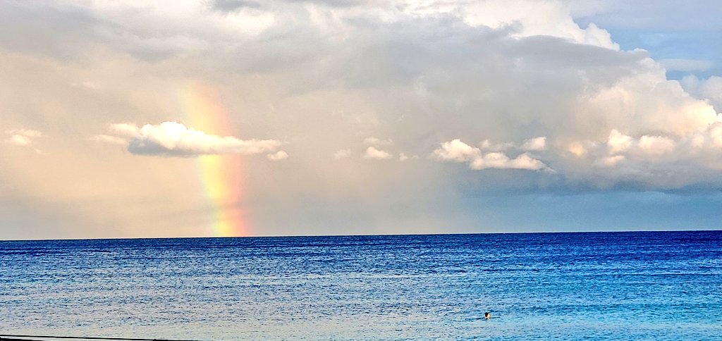 shokotamai's tweet photo. Living in tulum, work, dance, yoga , swim and every day different adventure. Thanks to community of Tulum♡ #my4thhome #nowness #dancingspirit #ocean #freespirit https://t.co/JLALJXwd4H