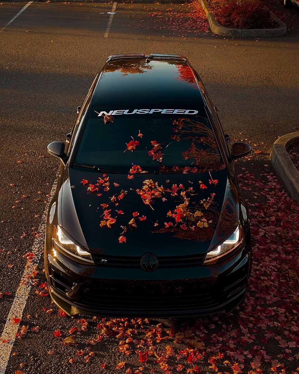 neuspeedaps's tweet image. That's one of the beauty's of driving a Golf, you blend in 😜