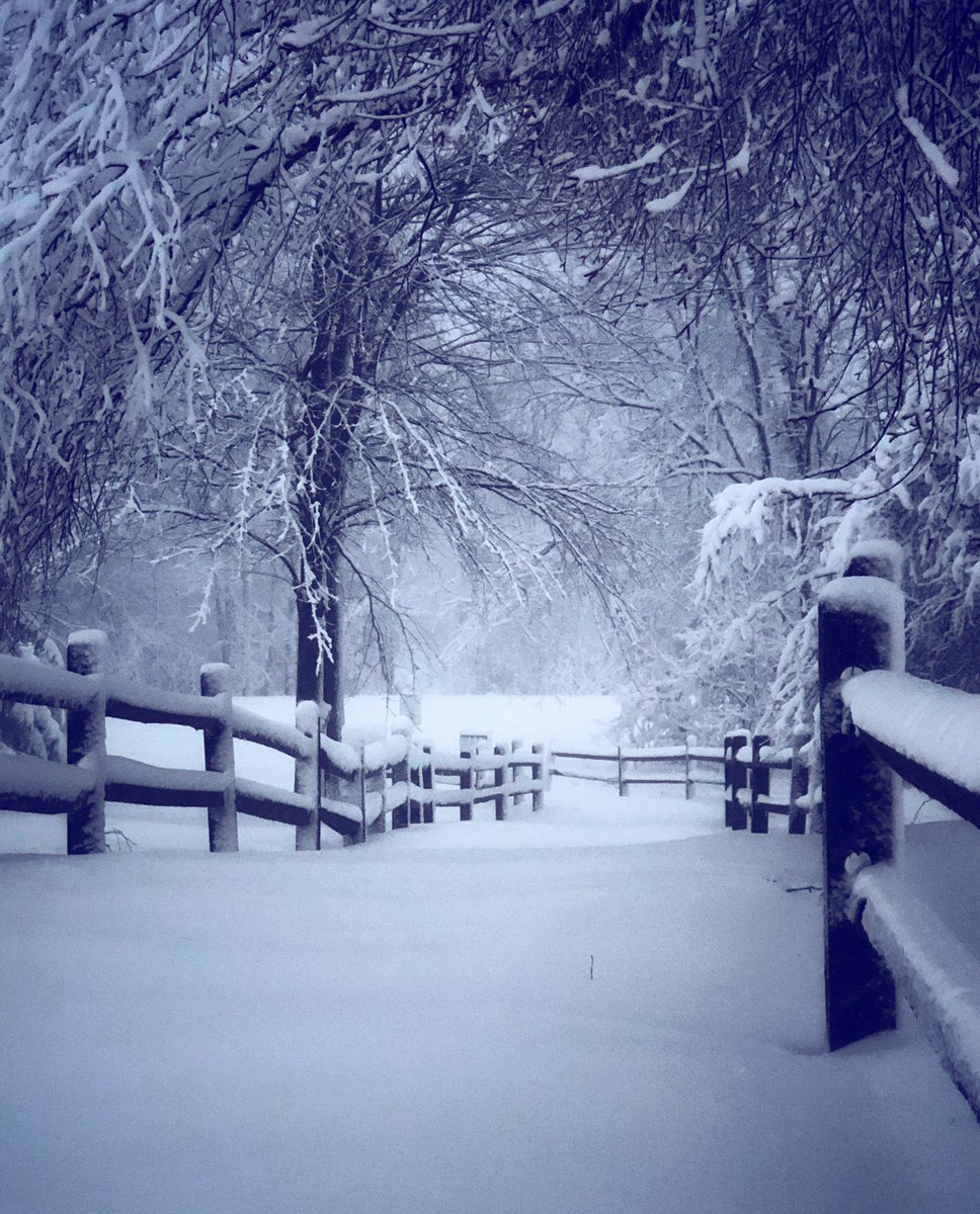 heidilikeswine's tweet photo. Wintry today in the Ville! 🌬❄️
#snowday #snoHio #snowfall #WinterWonderland #clevelandsnow https://t.co/l9Dhwx91nz