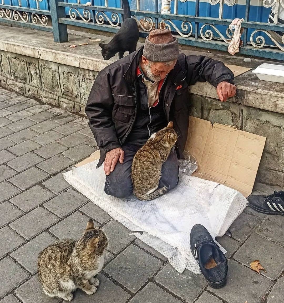 chillymehran's tweet image. اگر مهربانی صورت داشت :