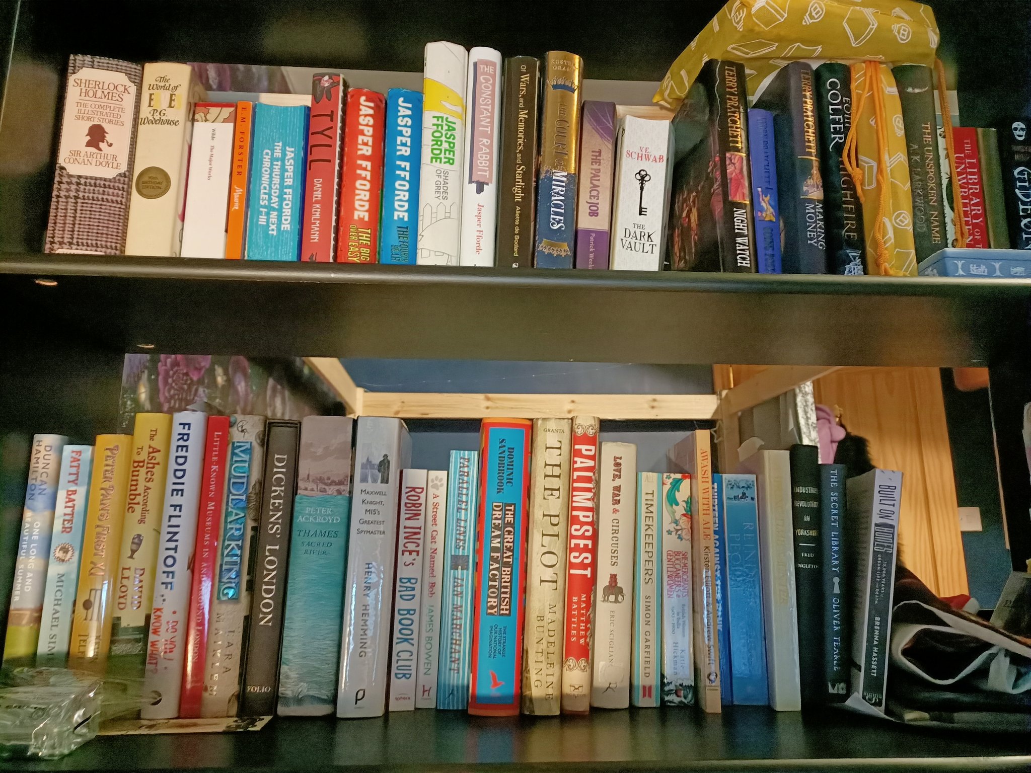 Two wide shelves full of mostly speculative fiction and non-fiction.