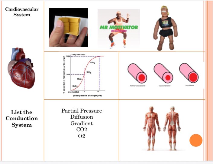 PE Resource: A selection of ‘Do Now’ #retrieval starters used for A-Level PE.

Ideal for brain dumps inspired by @87History and used in an interleaved fashion. Ss love knowing they are improving retrieval strength.

As ever, RT &amp; DM if you would like a copy #EduPE #ALevelPE