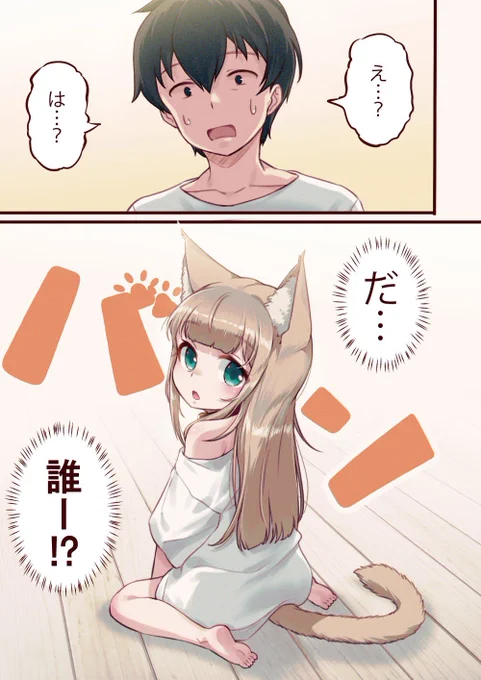 ?1話 うちに猫がやってきた!(1/2)#うちのねこが女の子でかわいい 