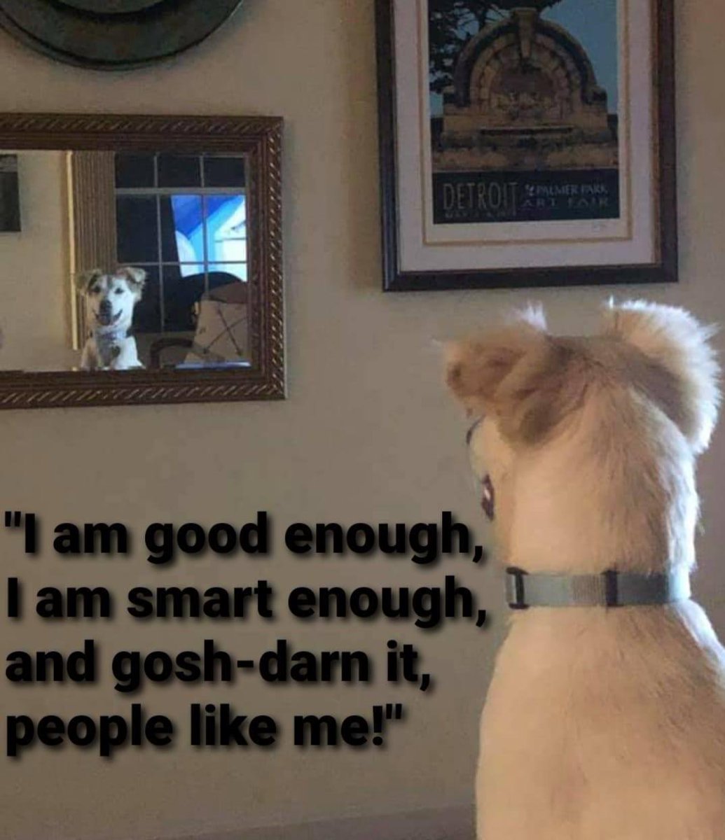 HART Animal Rescue tweet media