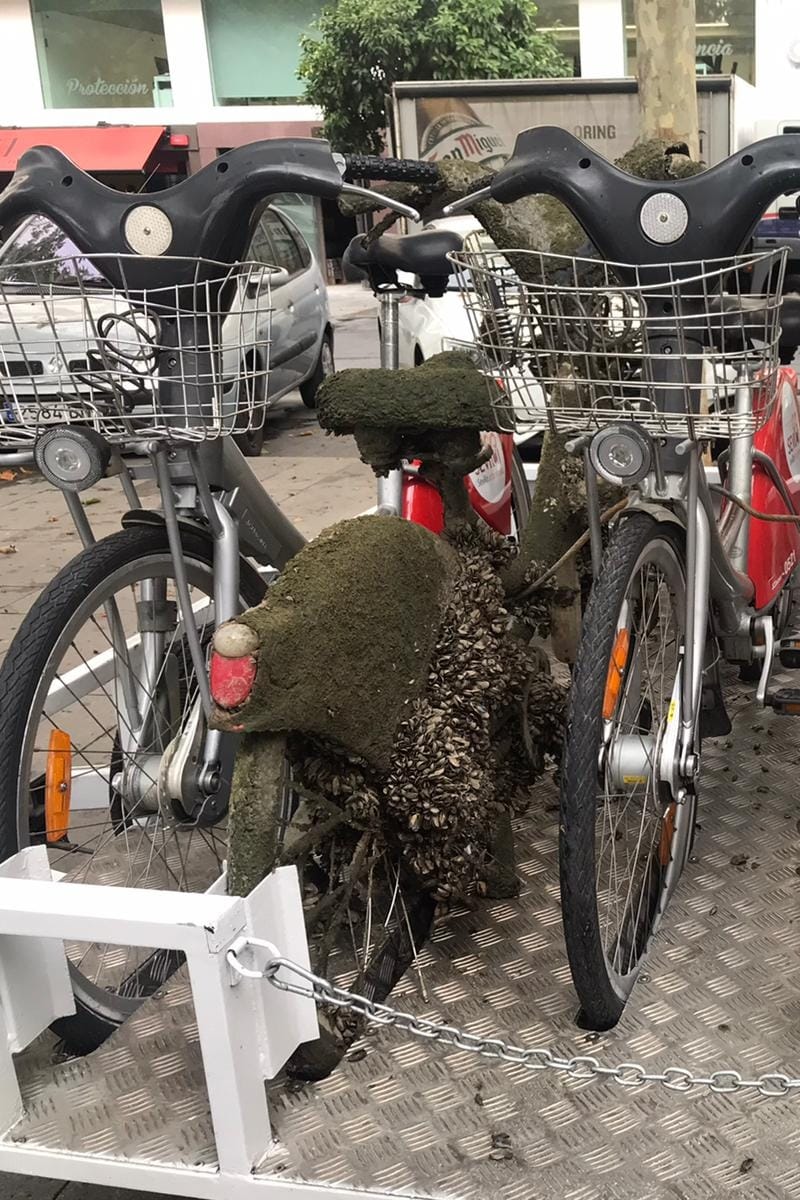 Angel Quiles | Maintenant en Français tweet media