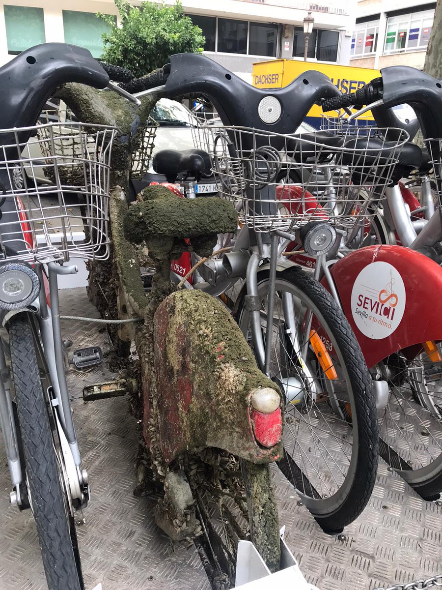 Angel Quiles | Maintenant en Français tweet media