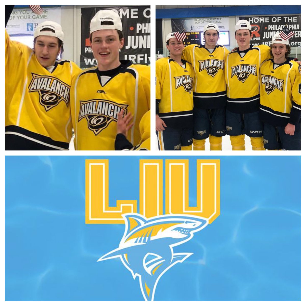 Huge congrats to <a href="/jjgorms/">John Gormley</a> his commitment to play Division 1 at LIU. Hard working,tough,puck moving D. Great person who made a huge impact on the Avs. #baggggg