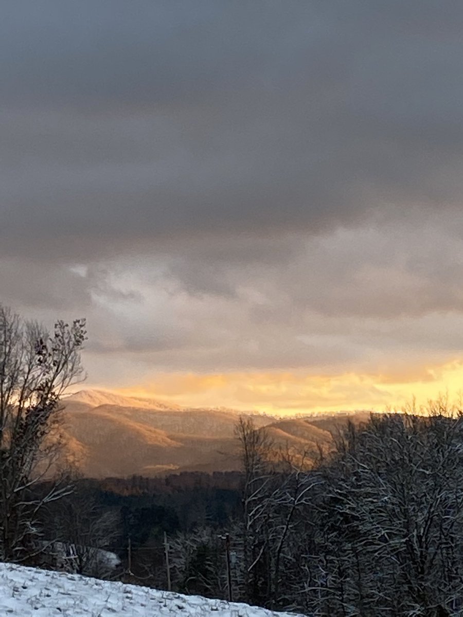 For our alums around the world that miss The Hill during this time of year. These are for you 💙 💛.  <a href="/MarsHillU/">Mars Hill University</a> <a href="/mhulions/">Mars Hill Athletics</a>