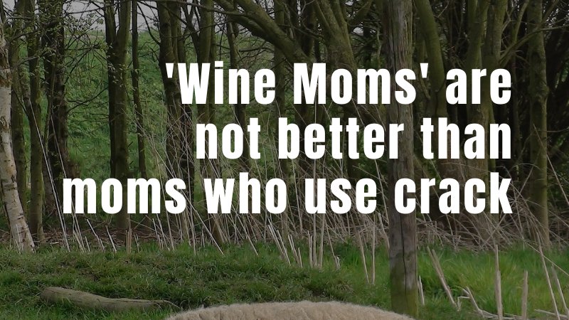 If you would like to hear more from Veda as well as folks from <a href="/prairiehr/">prairiehr</a> <a href="/BlackCAPTO/">Black CAP</a> <a href="/CAPUDofficial/">Canadian Association of People Who Use Drugs</a> 
4/5