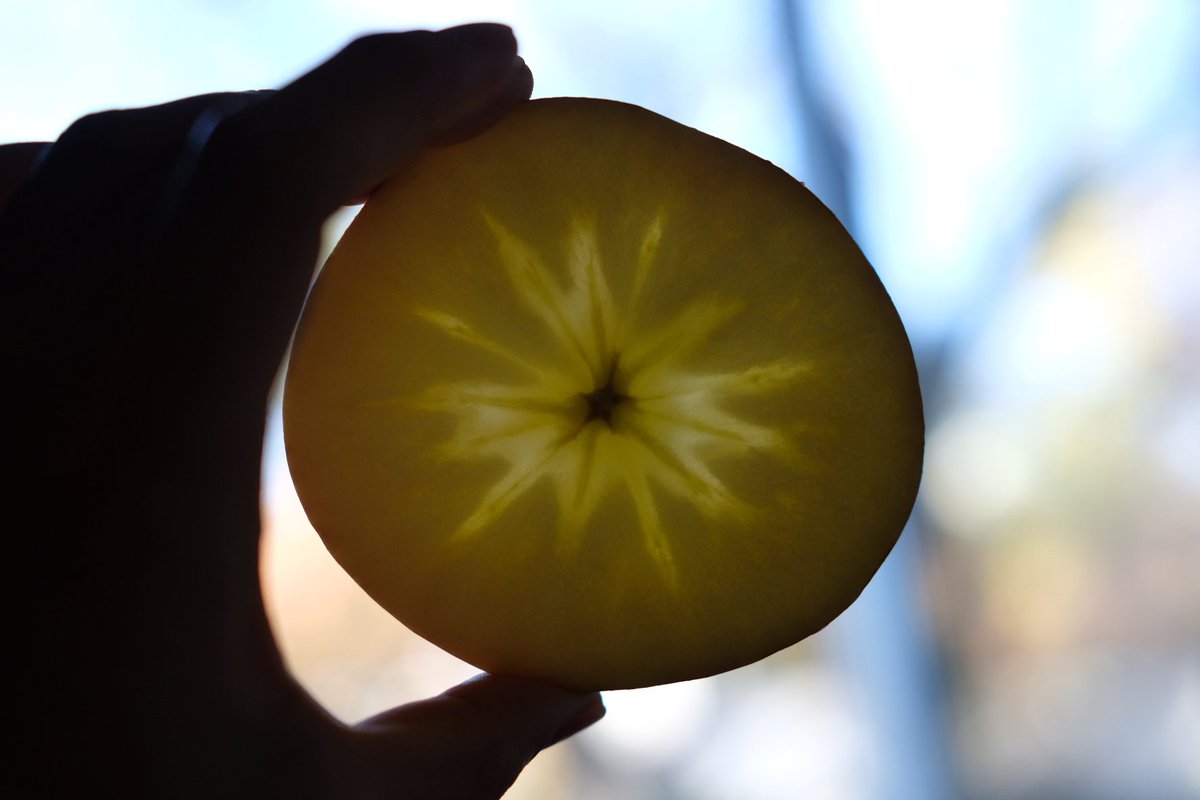 りんごの栄養丸ごと取れて ゴミもほぼ出ず簡単な スターカット なる切り方 食べ方が話題に 1石4鳥 世の中が追いついてきた Togetter