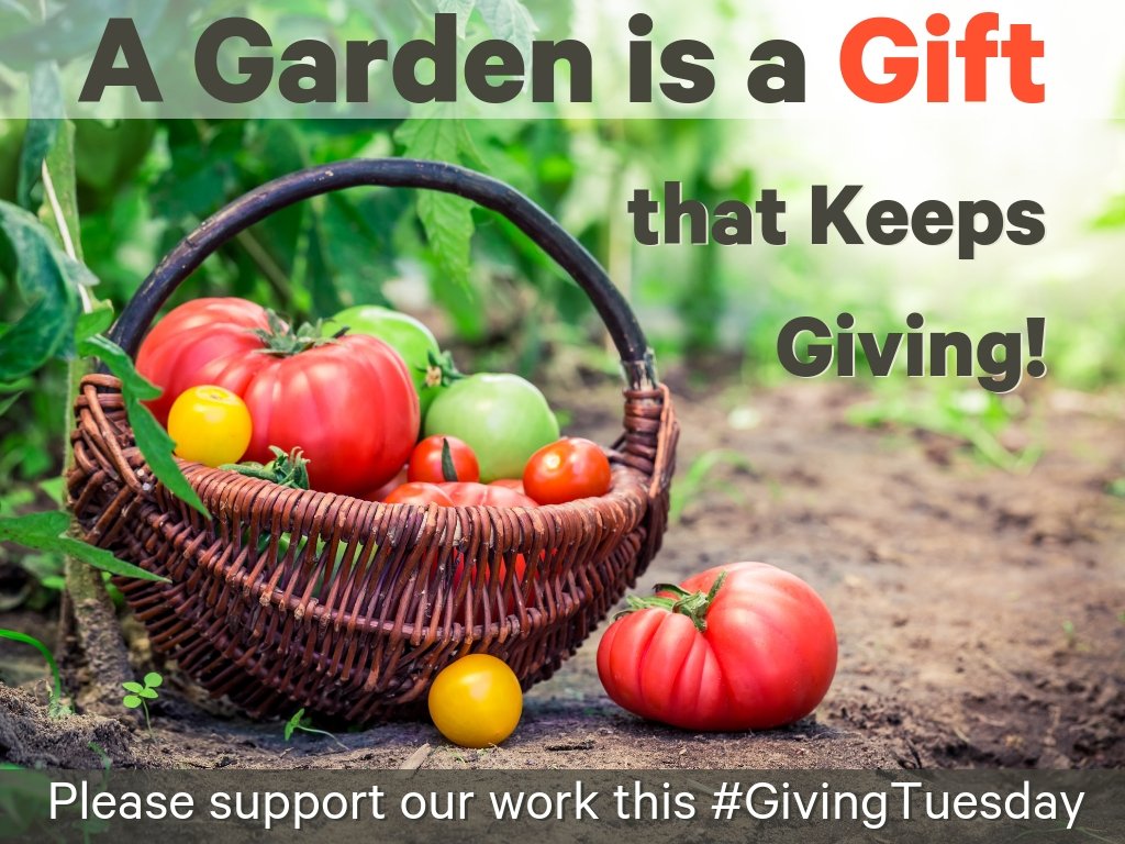 Giving Tuesday is here! Please consider a contribution by going to our website to donate. Camden Children's Garden, Camden, NJ.