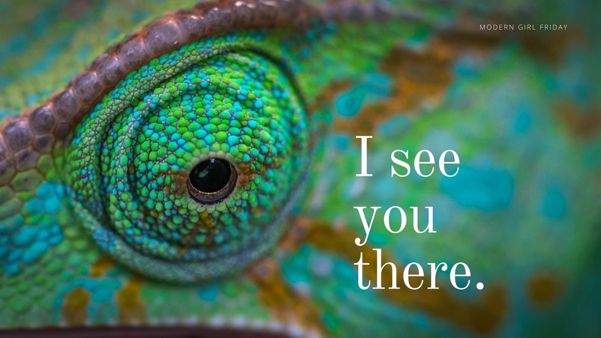 Modern Girl Friday tweet media