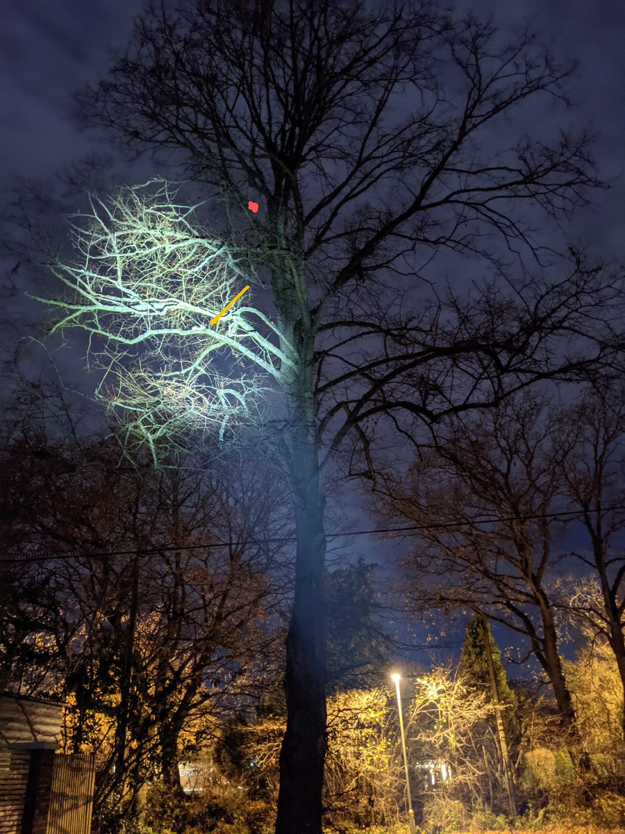 As far as I can tell he has moved from the red dot (around 8pm) to where he is now (10:20pm) indicated. I'm hoping that he didn't fall that distance.