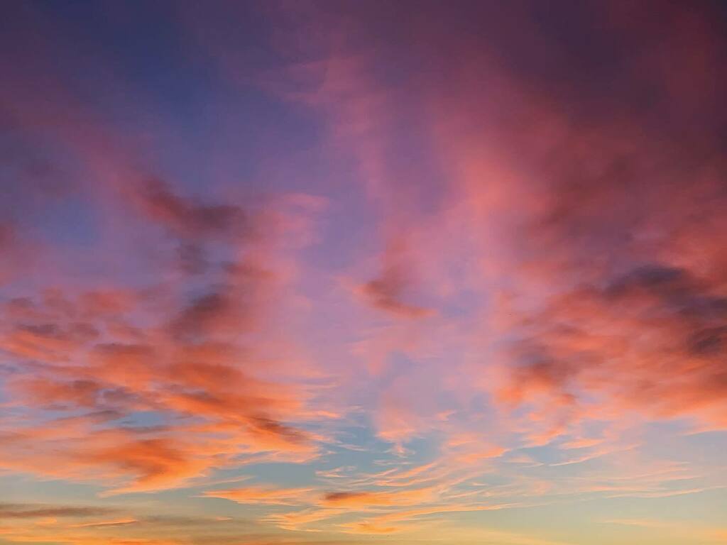 ajimenezlara's tweet photo. Atardecer #madrid #sky #sunset #skayscape #autumn #colors #purpletuesday #colorsoftheweek https://t.co/S7eawdM0cN https://t.co/iJx1ur4Yu6