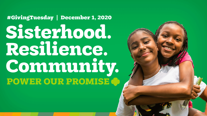 Sarah Elliott tweet media