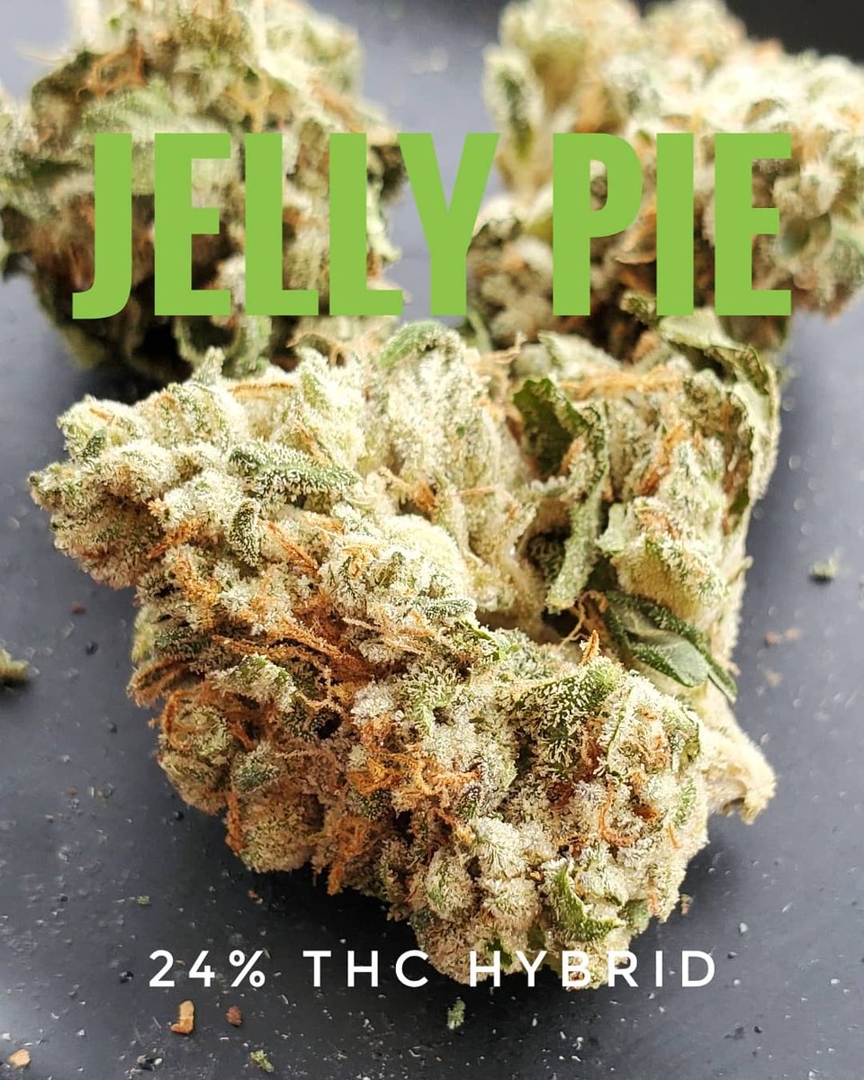 MarijuanaTraum1's tweet image. Jelly Pie 
24% THC

#420 #smokeweedeveryday #medicalmarijuana #pammj #marijuanatrauma #maryjane #jellypie #hybrid #weedporn #trichomes #THC
