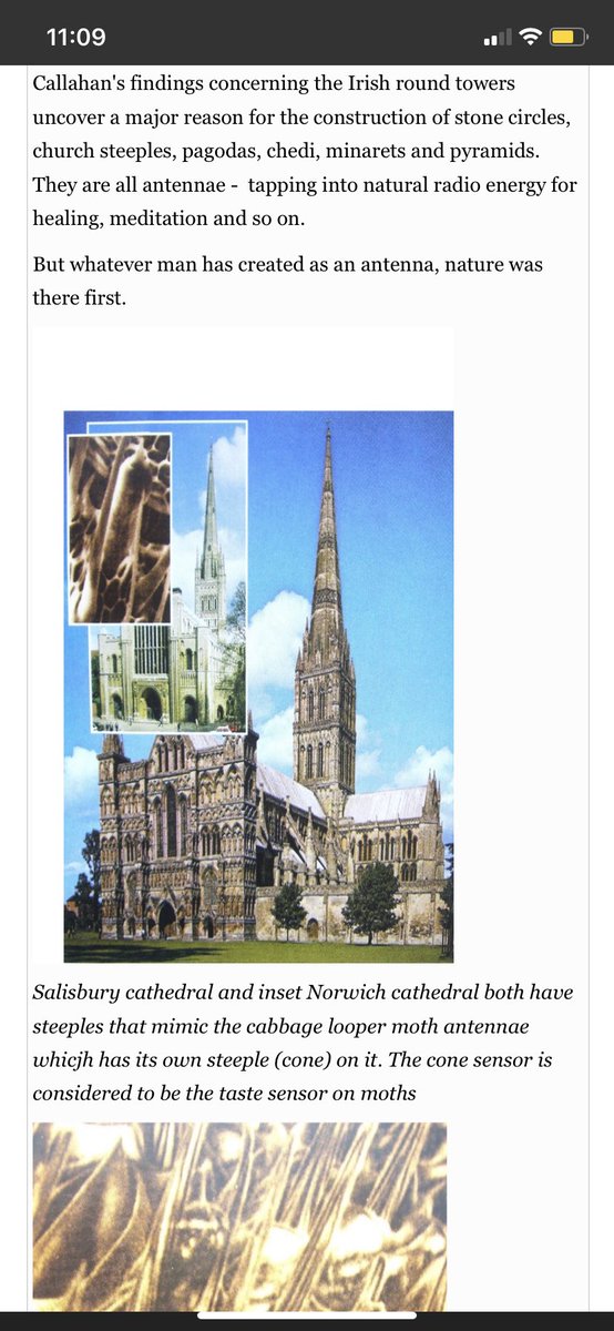 They would have been used to revitalize soil, and to heal the human body