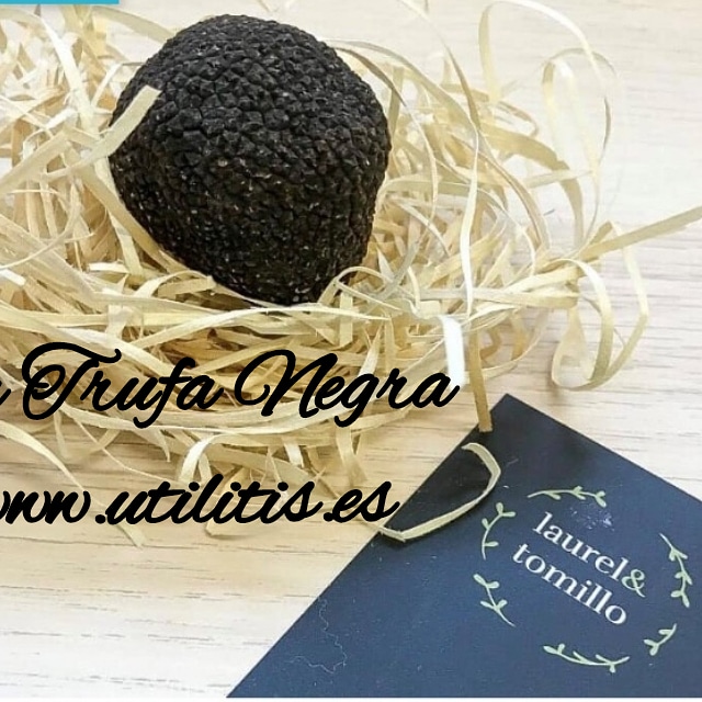 UTILITIS2's tweet photo. Trufa negra fresca🙌🙌 española, de #Teruel.
https://t.co/mocZPGirV9
#madeinspain
#productoreslocales
#compraencasa🛍♥👌 https://t.co/7KyWIlN0cJ