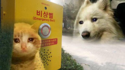 시험기간에 술마시는 사람이 있다???!!???!?!!!? 
나야나,,,