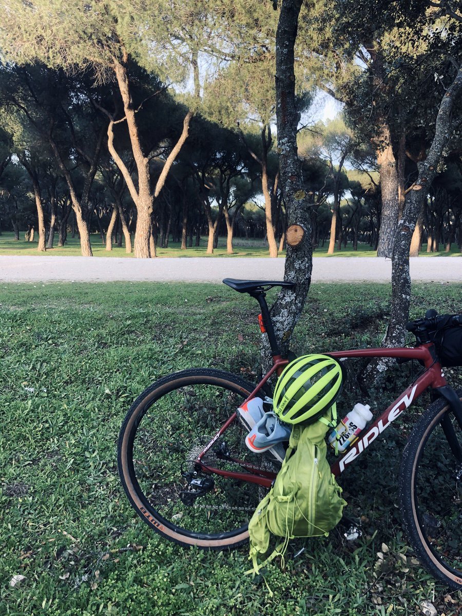 n_barranco's tweet photo. #BodegónRunner en El Bosque de la Casa de Campo de Madrid. La bici de ha quedado atada con todas las pertenencias mientras hacía el 4.000 del Cross Canguro Virtual. 🦘 https://t.co/pG1GiJiEkJ