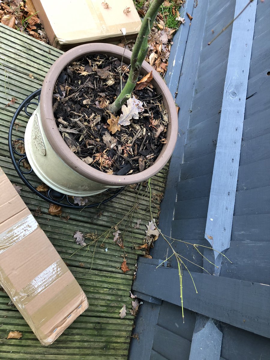3explosive19's tweet photo. @UPSHelp_UK HI, absolutely shocked to find the state of our delivery which was literally thrown over the fence and damaged our poor acer...!!! Even more infuriating the fact that I was at home and driver didn’t even bother ringing the doorbell - WHY????!!!! @UPS_UK https://t.co/Cy7JrWsTVi