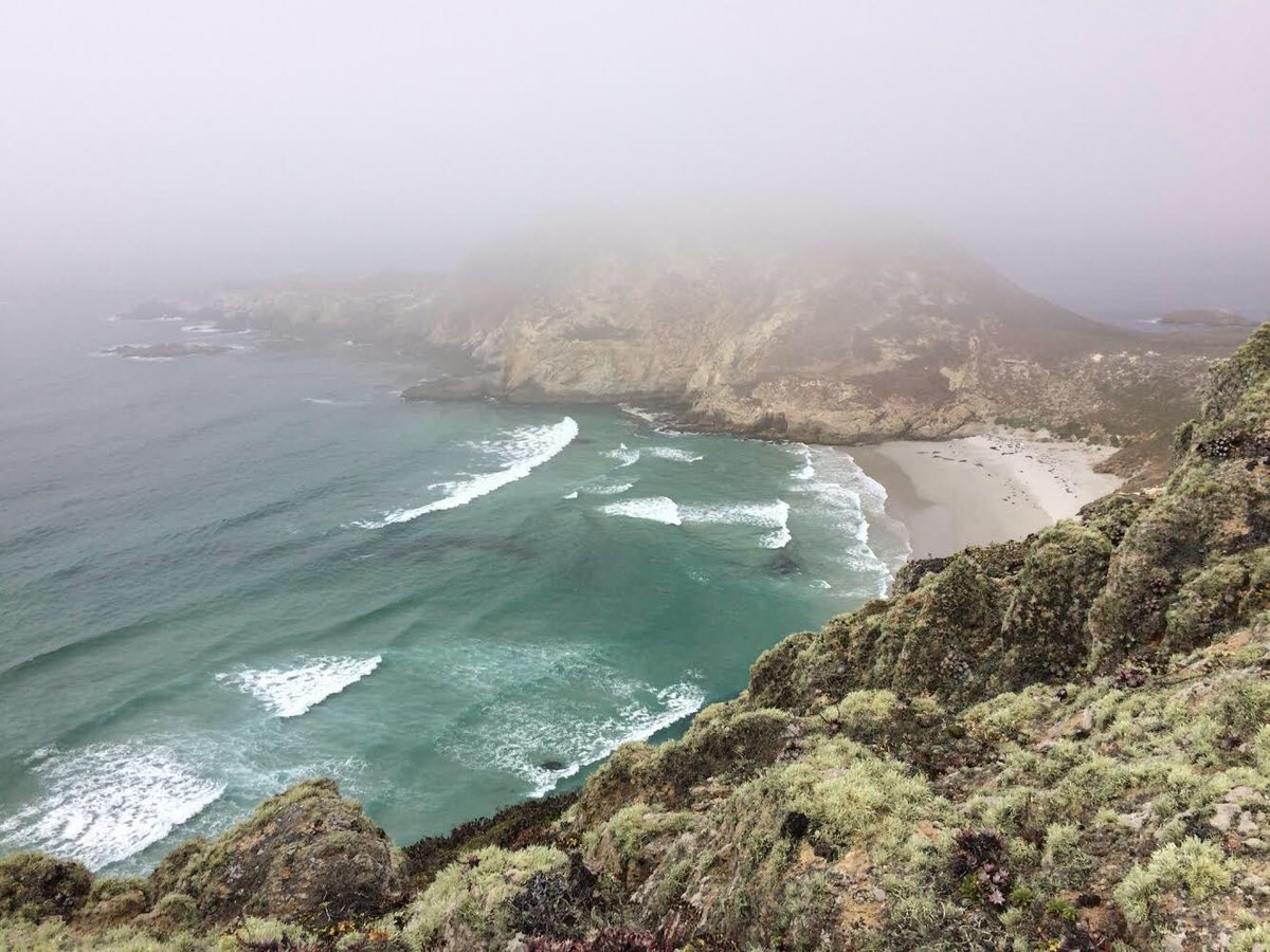 CIParkFoundation tweet media