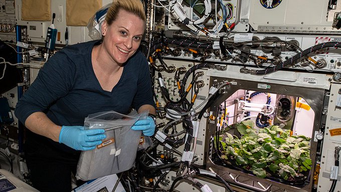 NASA astronaut and Expedition 64 Flight Engineer Kate Rubins checks out radish plants growing for the Plant Habitat-02 experiment that seeks to optimize plant growth in the unique environment of space and evaluate nutrition and taste of the plants.