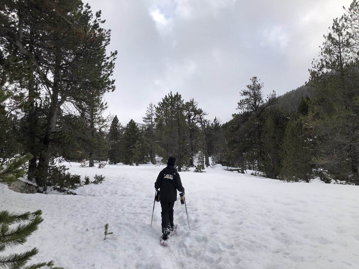 Graupix's tweet photo. Mis propuestas para una escapada chic a la nieve con #ParkPiolets en @grandvalira con @Shusski @RocRoiAdventure: https://t.co/LRs4DHR1hV @andorraworld_ad @Tinkle_ES #GraupixAndorra https://t.co/l4ldqFMESf