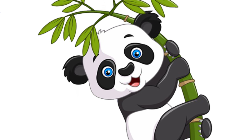 Parmenter PCC tweet media