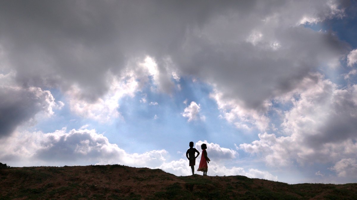 Notice Pictures tweet media