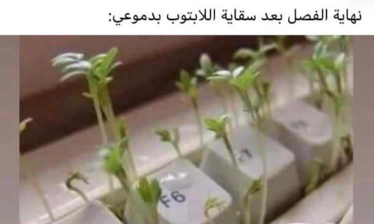 la_amrah's tweet photo. https://t.co/MUnepG6esZ