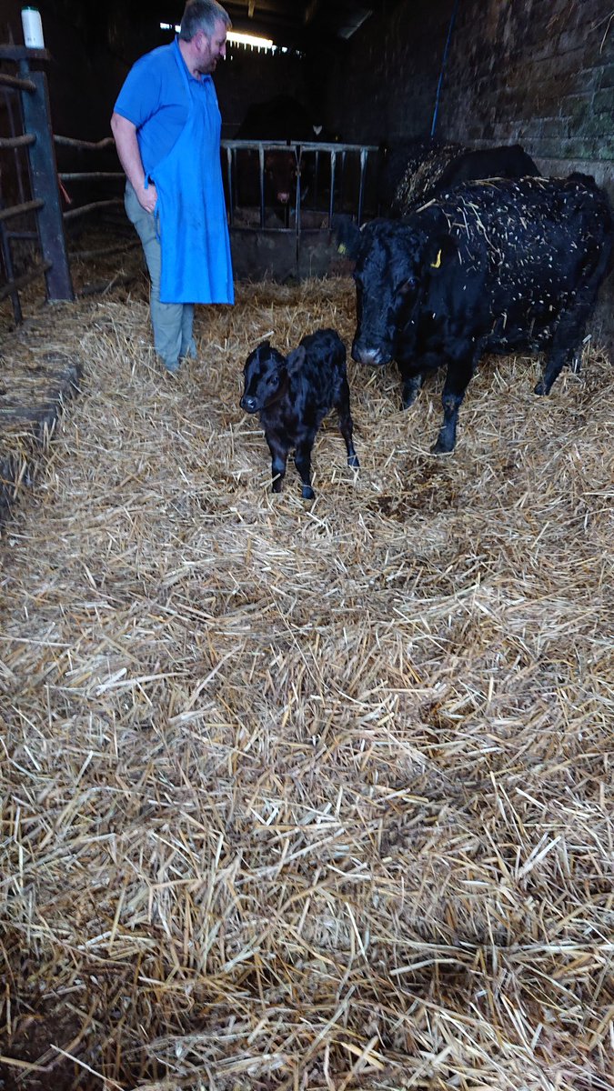 chefNo14's tweet photo. So today brought a tale of 3 farms, listening, watching, learning, asking questions, to myself and @pcbrunels supporting local is so important to our industry, thanks for a great day,to Andrew springmount farm, Robbie, @FarmStonebridge and Damien @CastlescreenFrm https://t.co/thcfwu2RIe