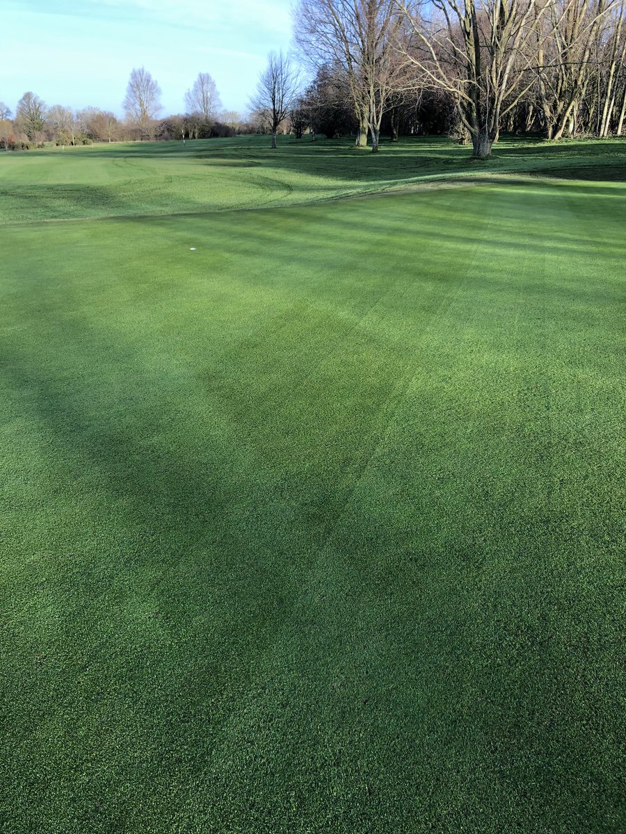 GreenkeepersKGC's tweet photo. Course set up nearly complete @KirtlingtonGolf 
Looking forward to welcoming the golfers back tomorrow 🎄 https://t.co/DppecTz8JQ