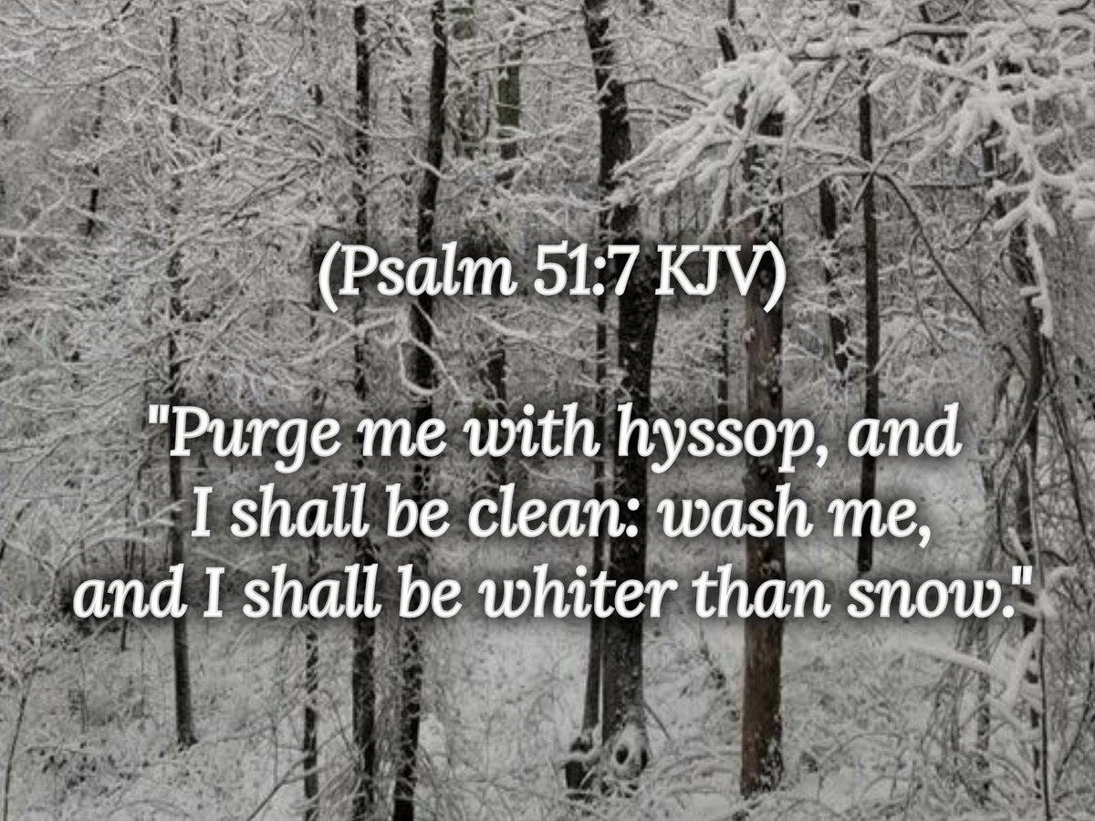 kd8nsa's tweet photo. #InspiredDailyVerses.#GodsWord.#BIBLE.#Ramadan.#Islam.#Allah.#Muslim.#MessageMeForSpiritualHelp.#ChristFollower.#TruthSpeaker.#Prayer.#WWJD.#MakeGodFirst.#KeepGodFirst.#OurPickaway.#OurCircleville.#LifeIsShort.#TodayWillSoonBeGone.#CV19.#Coronavirus.#Covid_19.#Covid-19.#Eternity. https://t.co/L3hQDRYCPH