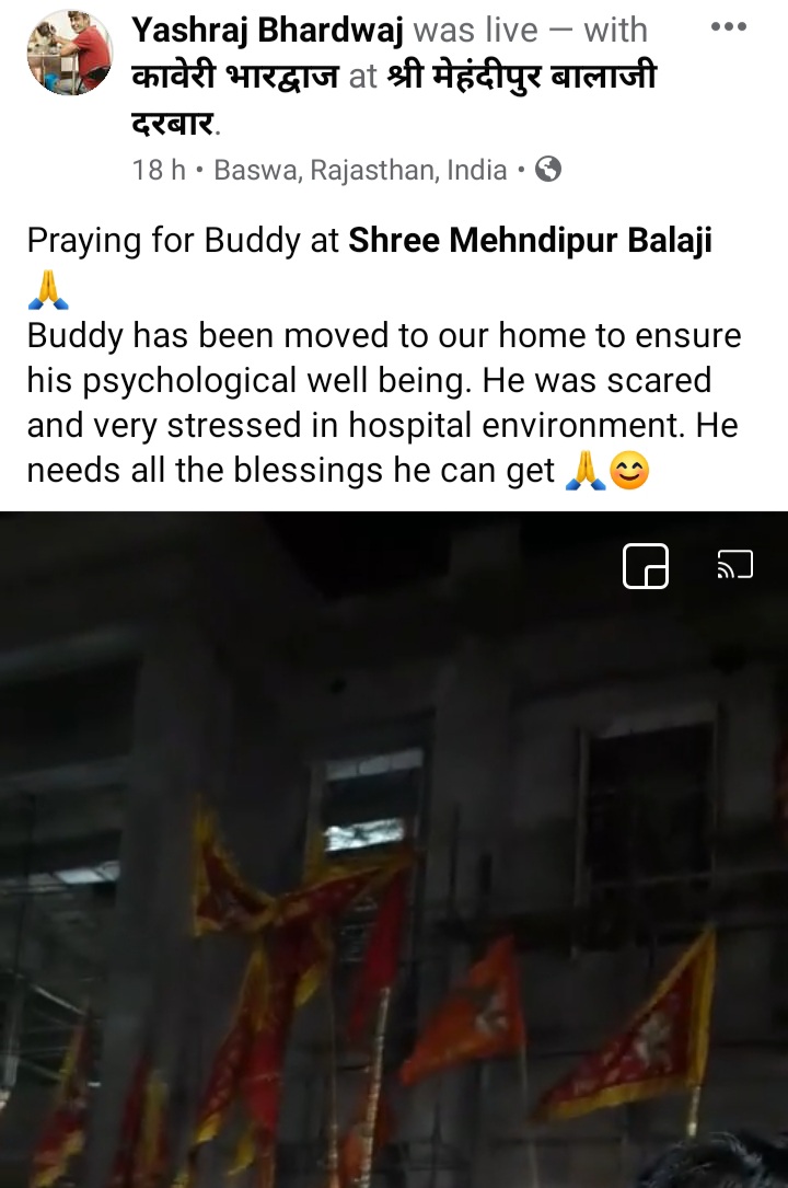 TheDogMother_'s tweet photo. Went to Mehndipur Balaji in the morning to pray for Buddy and all Voiceless 🙌🙌
Got Buddy home tonight as he was scared and stressed at hospital.
He is calm and safe. Pain has decreased and he is eating well.
Keep sending him your blessings 🙏 https://t.co/FgFj5C29B8