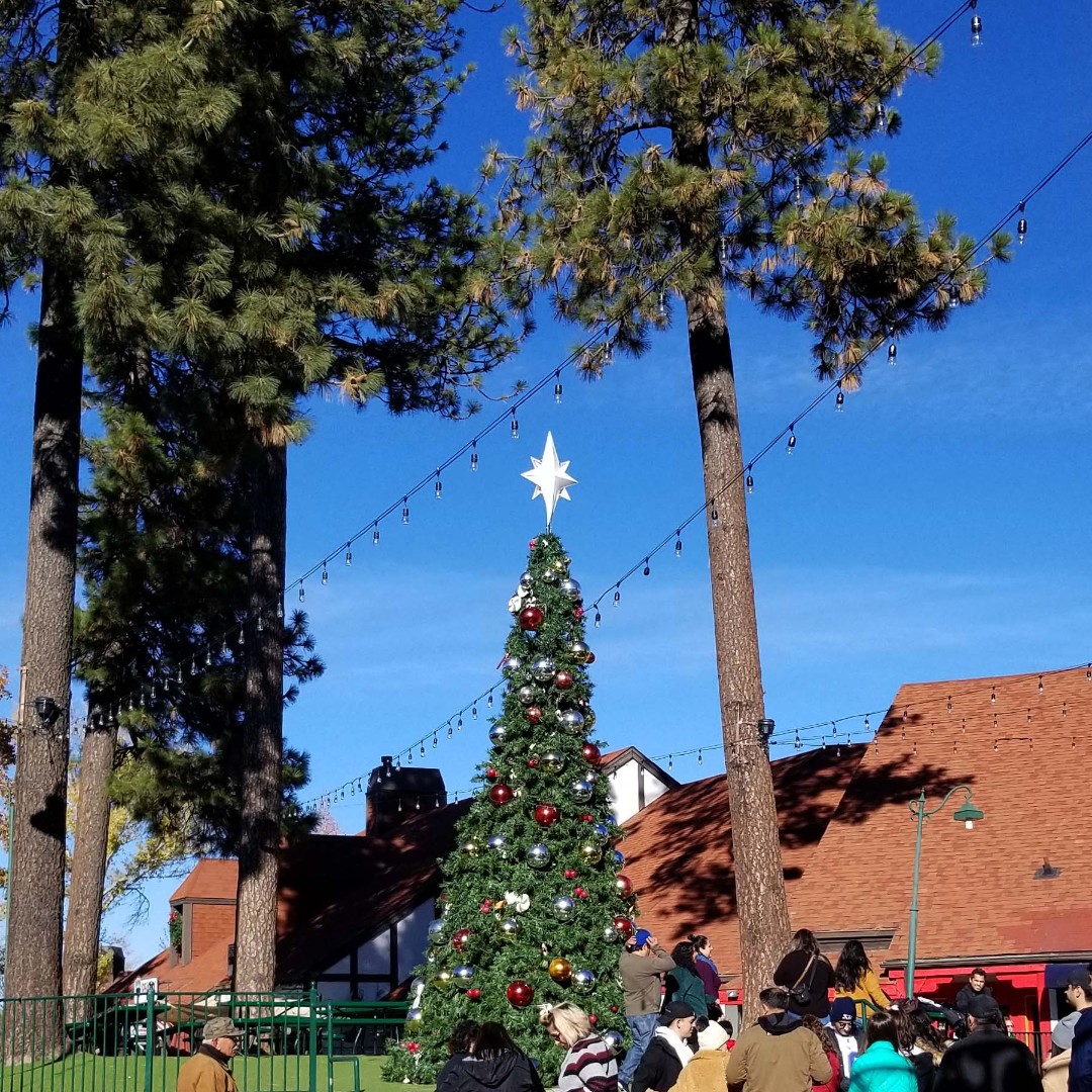 LA Village tweet media