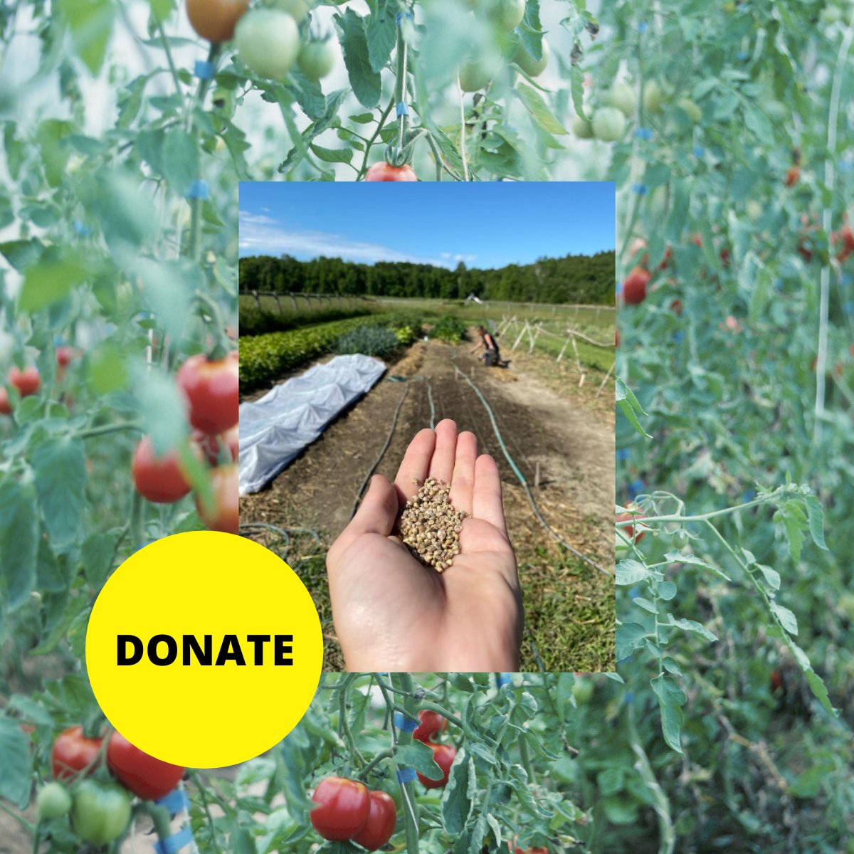 In the spirit of #GivingTuesday and building strong, resilient communities, please consider showing your support by donating to our programs through Canada Helps: canadahelps.org/en/dn/10553