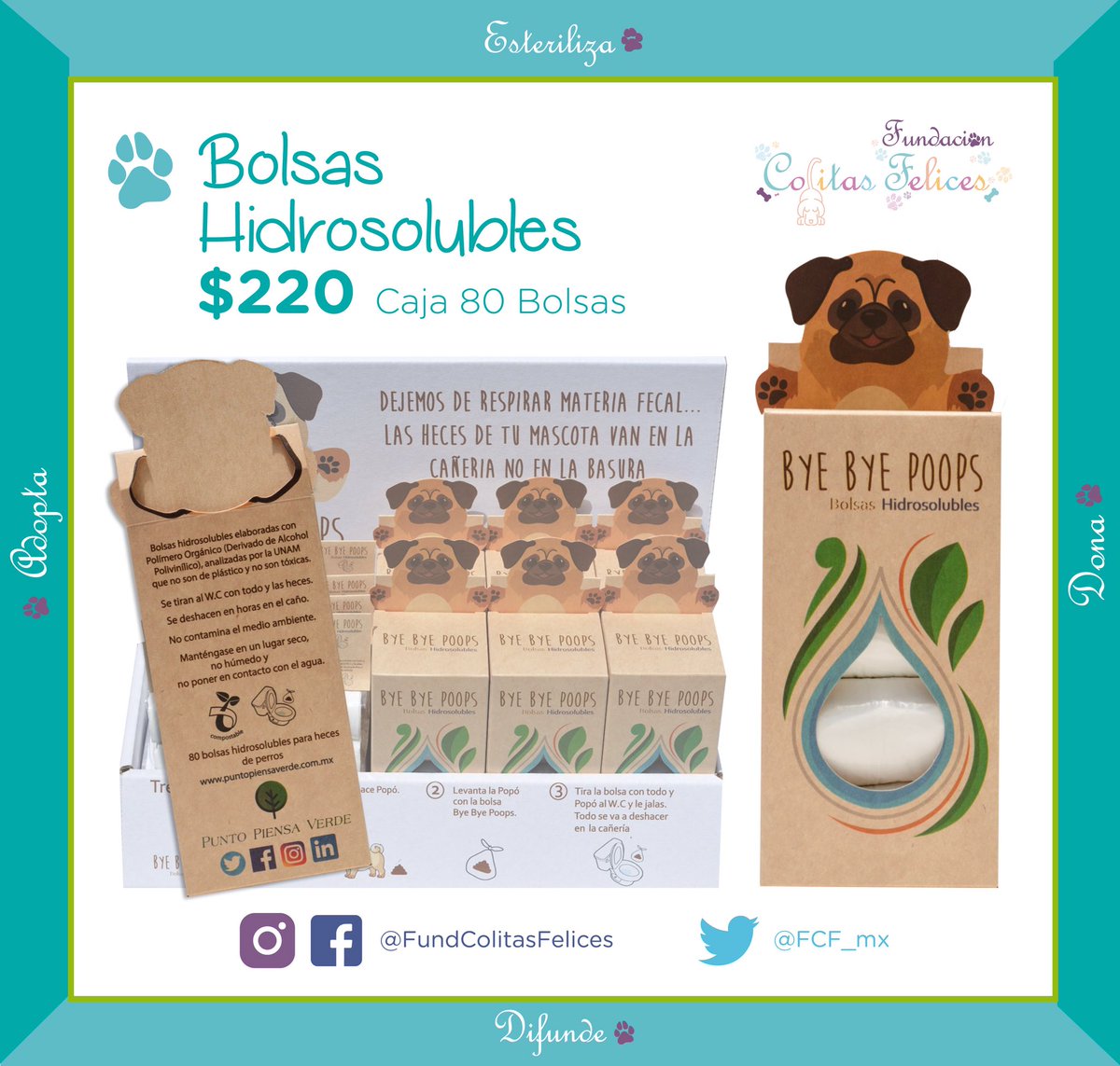 FCF_mx's tweet photo. Amigoooos nos acaban de surtir 💧 #ByeByePoops 💩 👋🏻💧
Las primeras Bolsitas Hidrosolubles 🚽 para deshechos ♻️ lo pueden adquirir con nosotros y a la vez nos ayudan a seguir llenando #PancitasPeludas 🥘 todos los días‼️ https://t.co/4sTa1Rx0wB