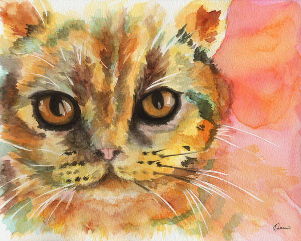 CatsShelf's tweet photo. Life is hard. Soften yours with a cat.
Art by Kathleen Wong
#catproverbs https://t.co/ZjVo8U4UTT