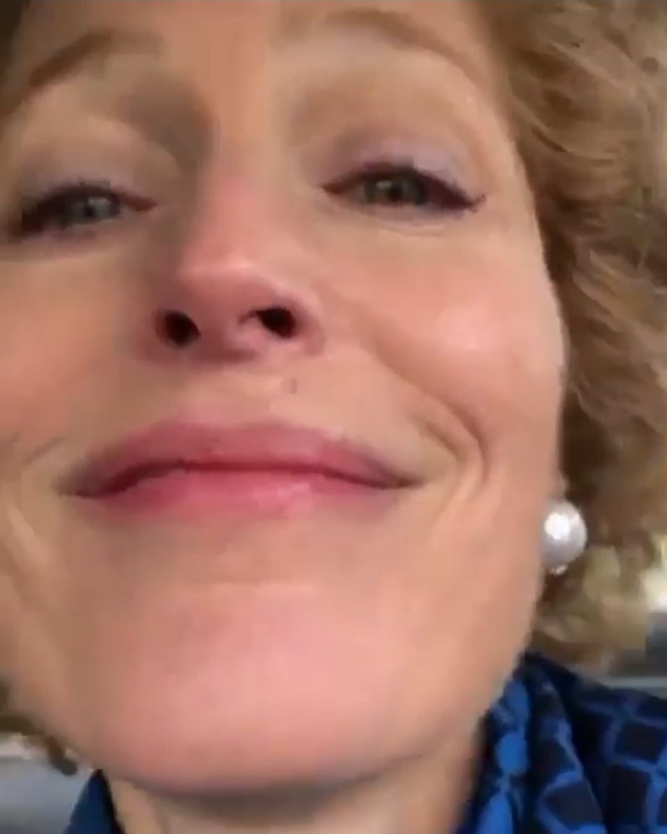 gillian anderson being driven around by olivia colman: a series