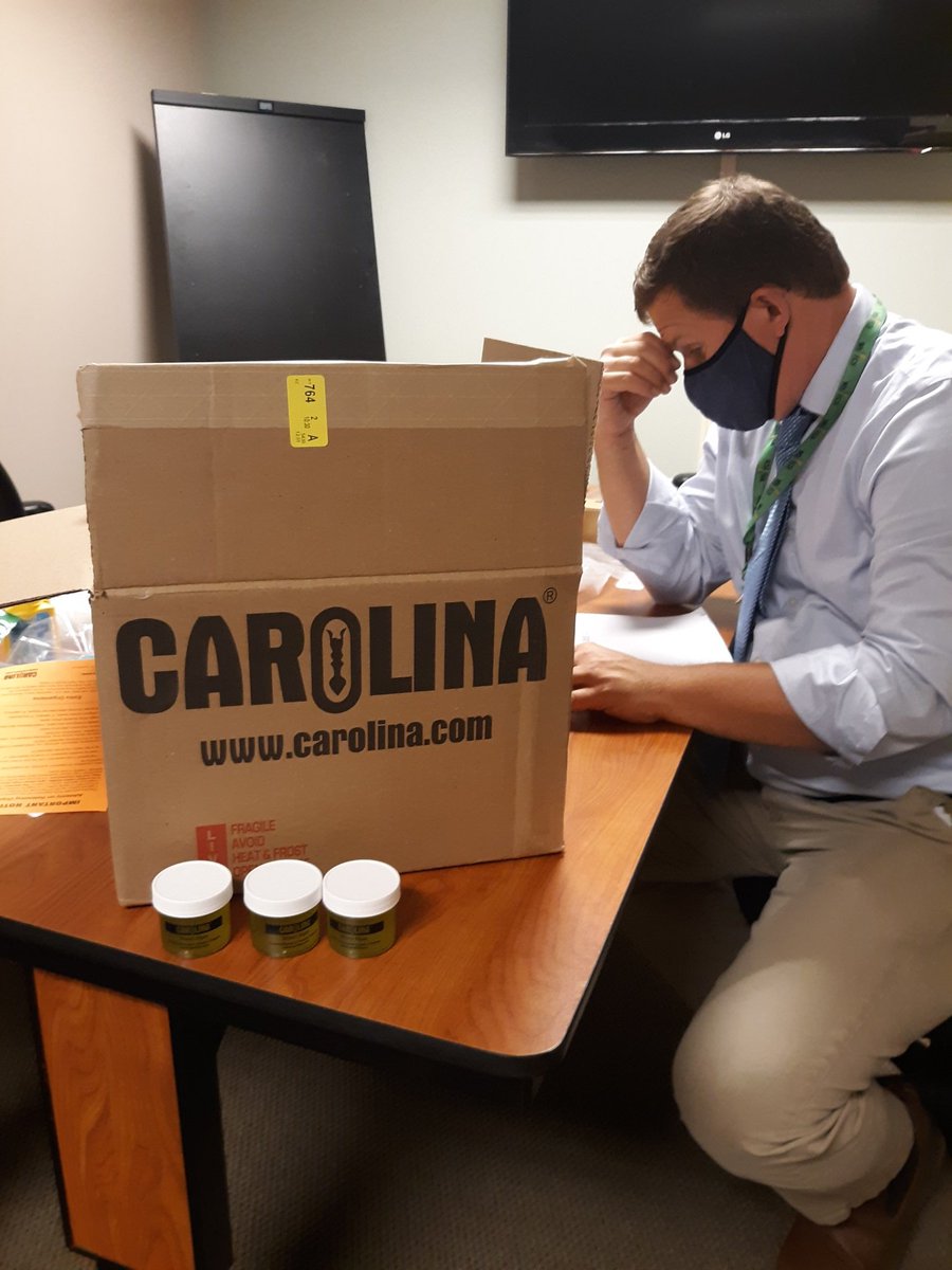 SciCoachOv's tweet photo. @hotpottsscience & I packed up living organism for our drive-through pickup this week. Teacher will use these materials as demonstration lessons for their students learning remotely.
#Sci5L2 #STC #ecosystems #WeDoScienceWell @CarolinaBio @WSFCS_Science https://t.co/7UDXw9EEYB