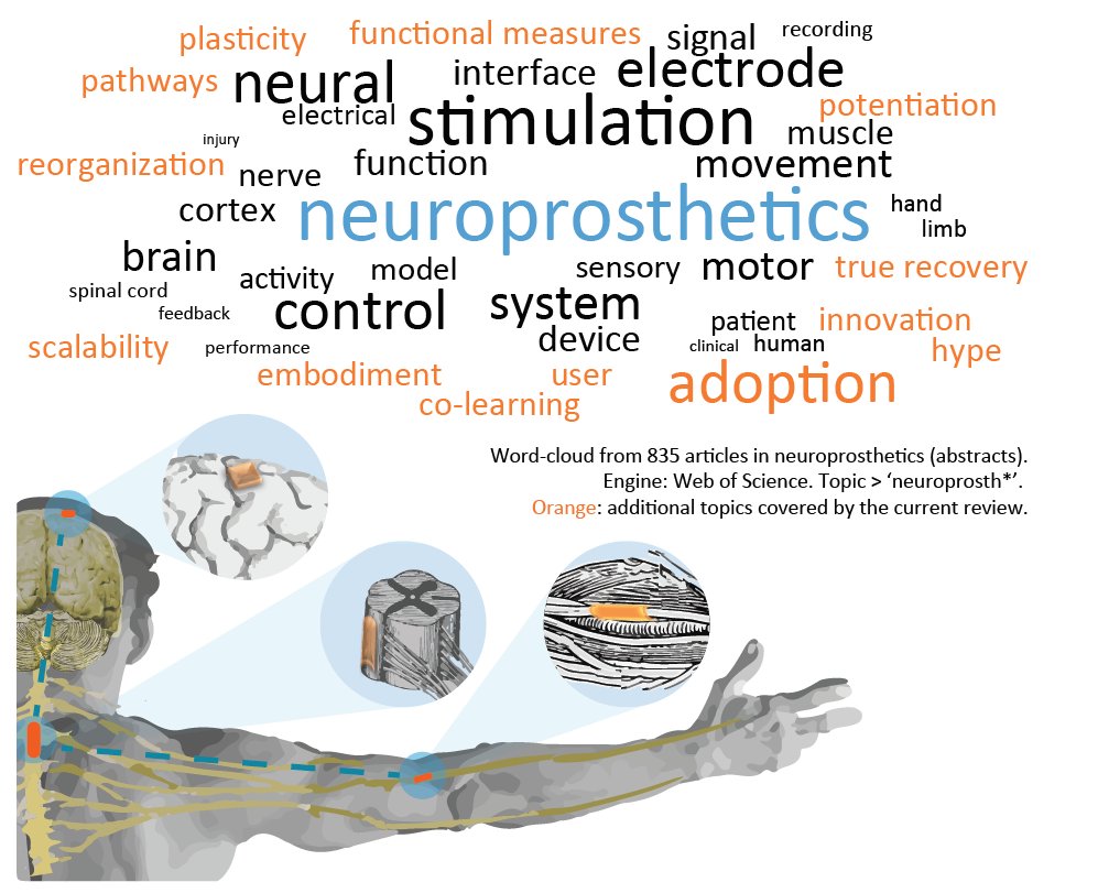 MarcoBonizzato's tweet photo. Last summer we presented 'Neuroprosthetics' with @MCapogrosso @SRaspopovic @ElviraPirondini.
Conference roundtables hosted some incredible didactic value on open questions and active avenues.
I decided to write an overview paper for @JNeurophysiol 
👉 https://t.co/CNYJYI1MsZ https://t.co/y7hQ5LRzcG