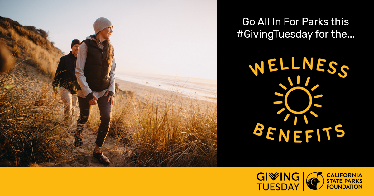calparks's tweet photo. 🏃‍♀️🏃‍♂️
Many of us have relied on parks for wellness benefits as COVID-19 has closed other recreational facilities across the state.

This #GivingTuesday, go #AllInForParks and give back to the places you love.

https://t.co/R4DsUBNPR2. https://t.co/fCVnWLYWrd