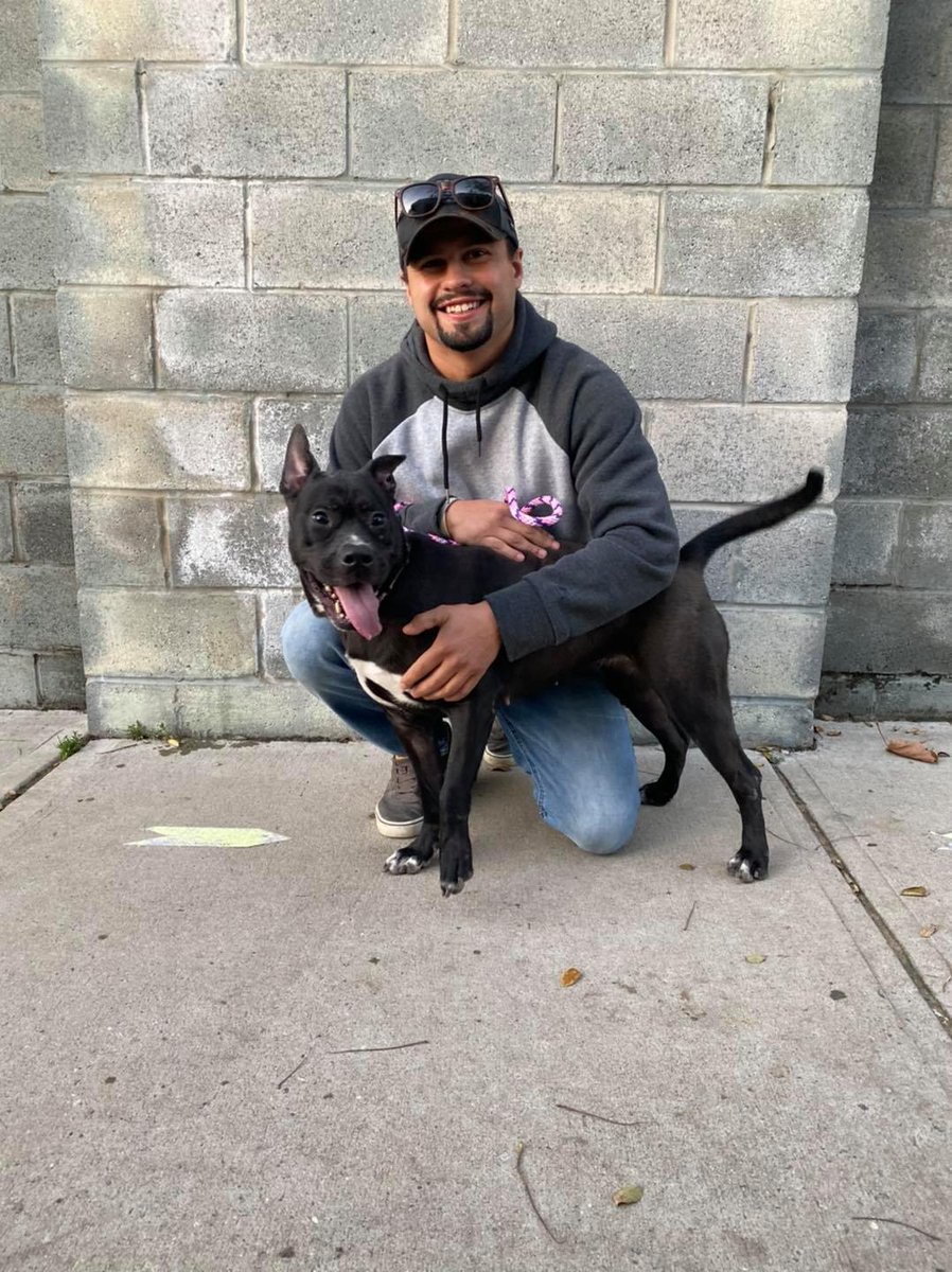 Associated Humane Societies - Newark Branch tweet media